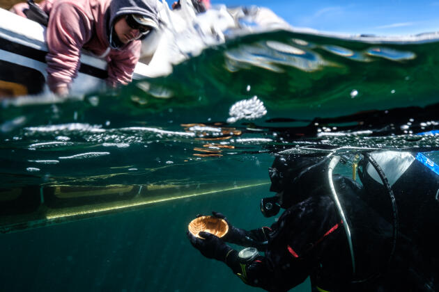 Un plongeur remonte une coupelle en céramique de la période pacajes (1150-1400), sur le bateau où se trouve Christophe Delaere, l’archéologue belge codireteur de la mission Projet Titicaca, en juillet  2018.