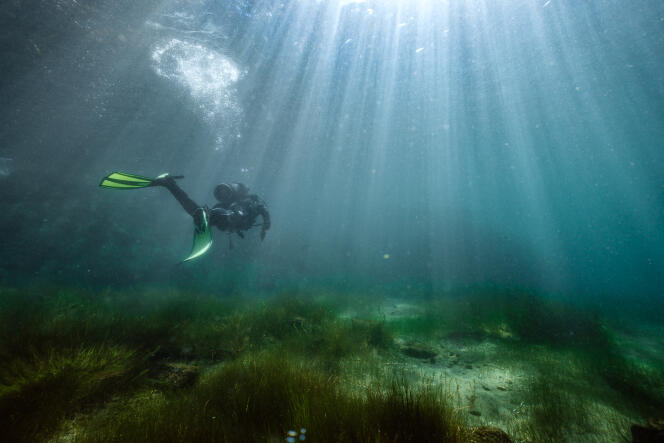 Exploration par un archéologue plongeur du Projet Titica, dans la baie de Sampaya, en juillet 2017.