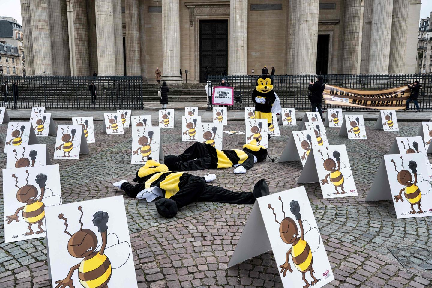 En soutien de l’agriculture intensive : le Sénat vote pour la réintroduction de pesticides néonicotinoïdes à titre dérogatoire