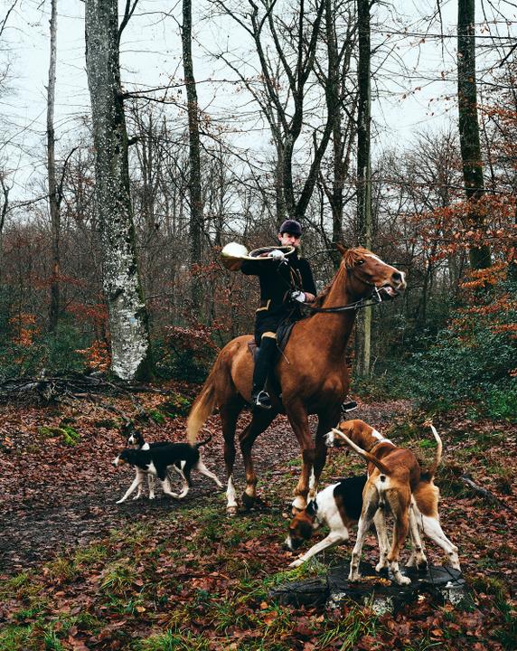 Les anti-chasse à courre ont-ils été si violents