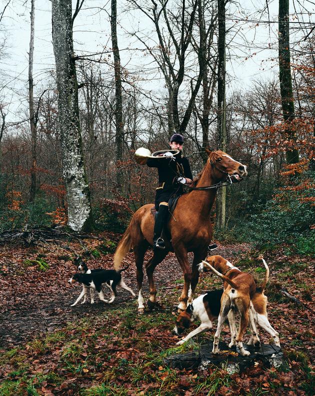 Une partie de chasse à courre fait polémique à Ingrannes avec un