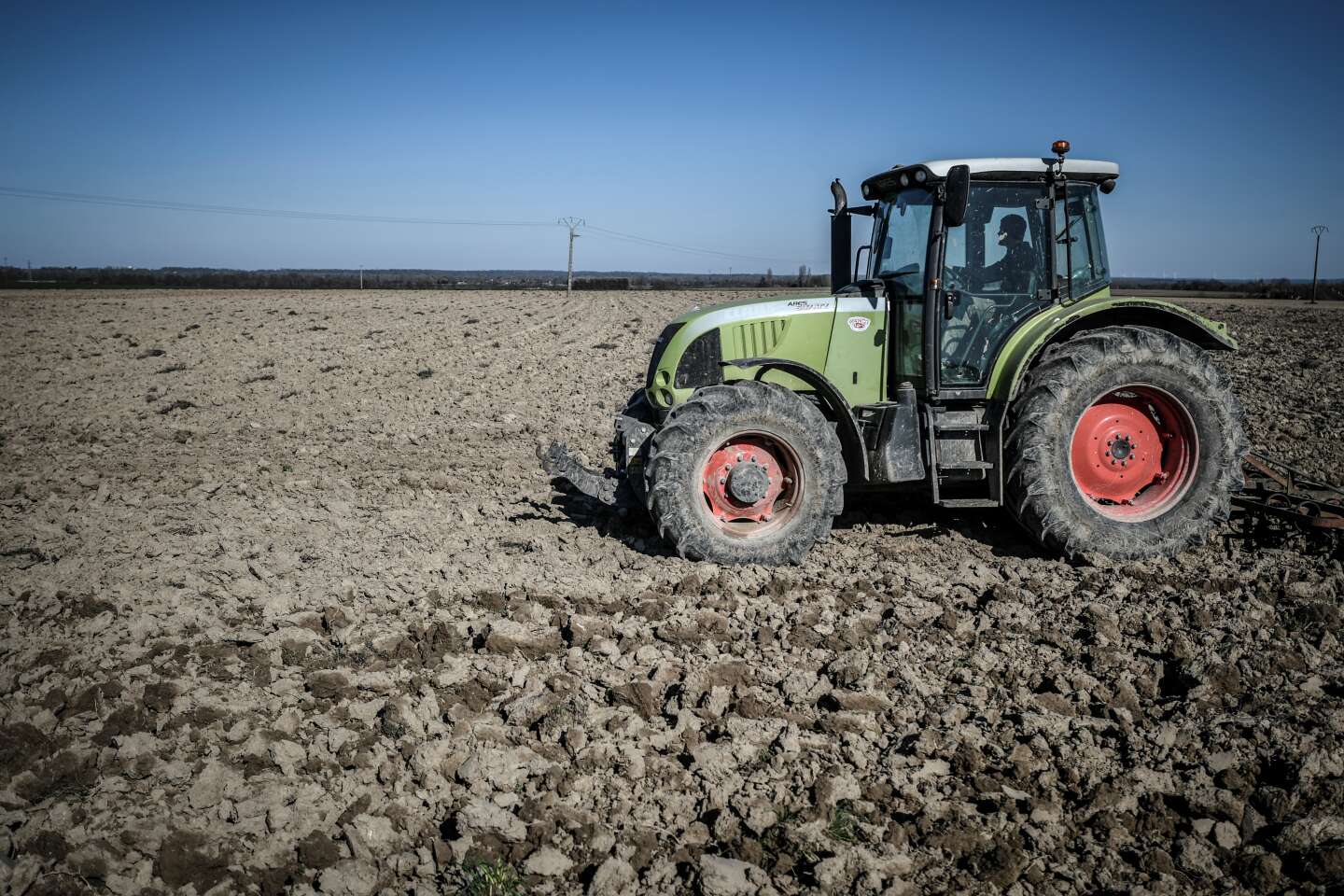 Néonicotinoïdes : la France renonce à autoriser de nouveau le pesticide pour les semences de betterave