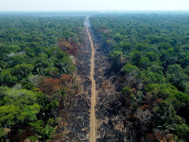 Une zone amazonienne déboisée et brûlée, à Humaita, au Brésil, le 16 septembre 2022.