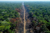 La forêt amazonienne est détruite à un rythme sans précédent sous l’effet des activités humaines