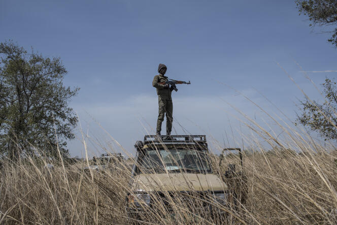 Un ranger monte la garde dans le parc national de la Pendjari, au Bénin, en janvier 2018.