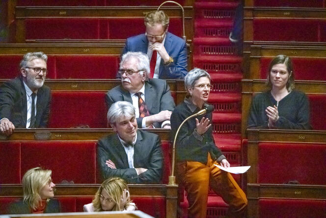 MP for Paris (Europe Ecologie-Les Verts) Sandrine Rousseau during the question session to the government in the National Assembly on January 31, 2023. 