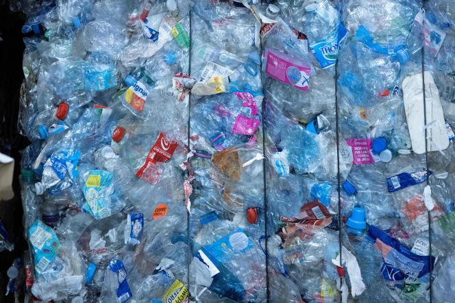 Des bouteilles en plastique dans une entreprise de recyclage, à Paris, le 10 janvier 2023. 