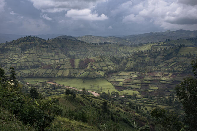 Les collines de la région de Masisi, dans la province du Nord-Kivu, dans l’est de la République démocratique du Congo (RDC) en mars 2022.