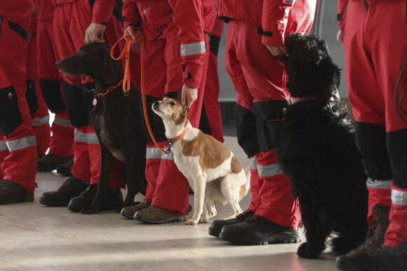 Des membres de l’équipe de recherche et de sauvetage en milieu urbain (USAR) composée de pompiers tchèques se préparent à s’envoler pour la Turquie pour aider à rechercher des personnes dans les débris, à l’aéroport Leos-Janacek d’Ostrava, en République tchèque, le lundi 6 février 2023.