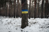 Dans une forêt près de Yampil, dans l’est de l’Ukraine, le 6 février.