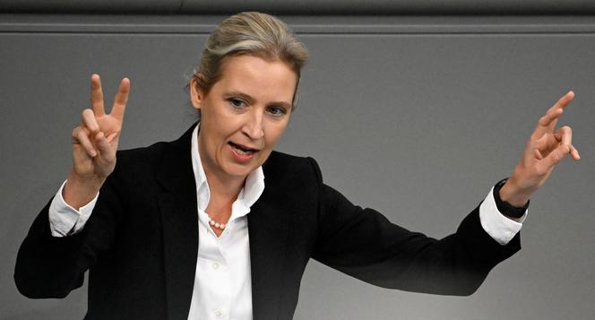 Germany's AfD, a far-right party born 10 years ago now aspiring to govern