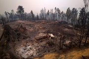 Burned area after the forest fire in Santa Juana, Concepcion province, Chile, February 5, 2023.  