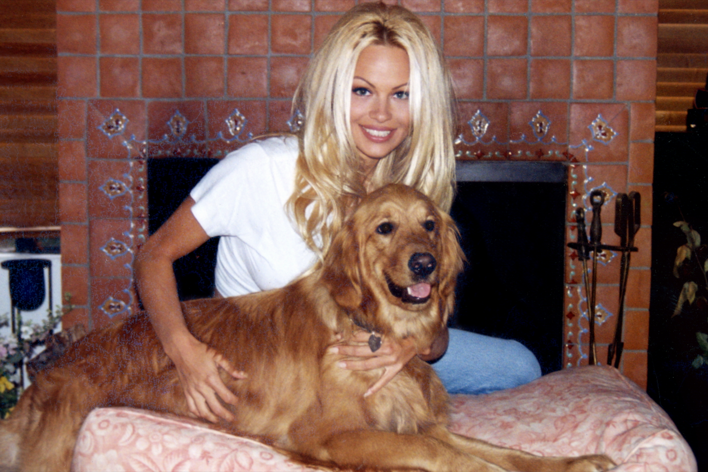 Pamela Anderson, a blondes revenge image