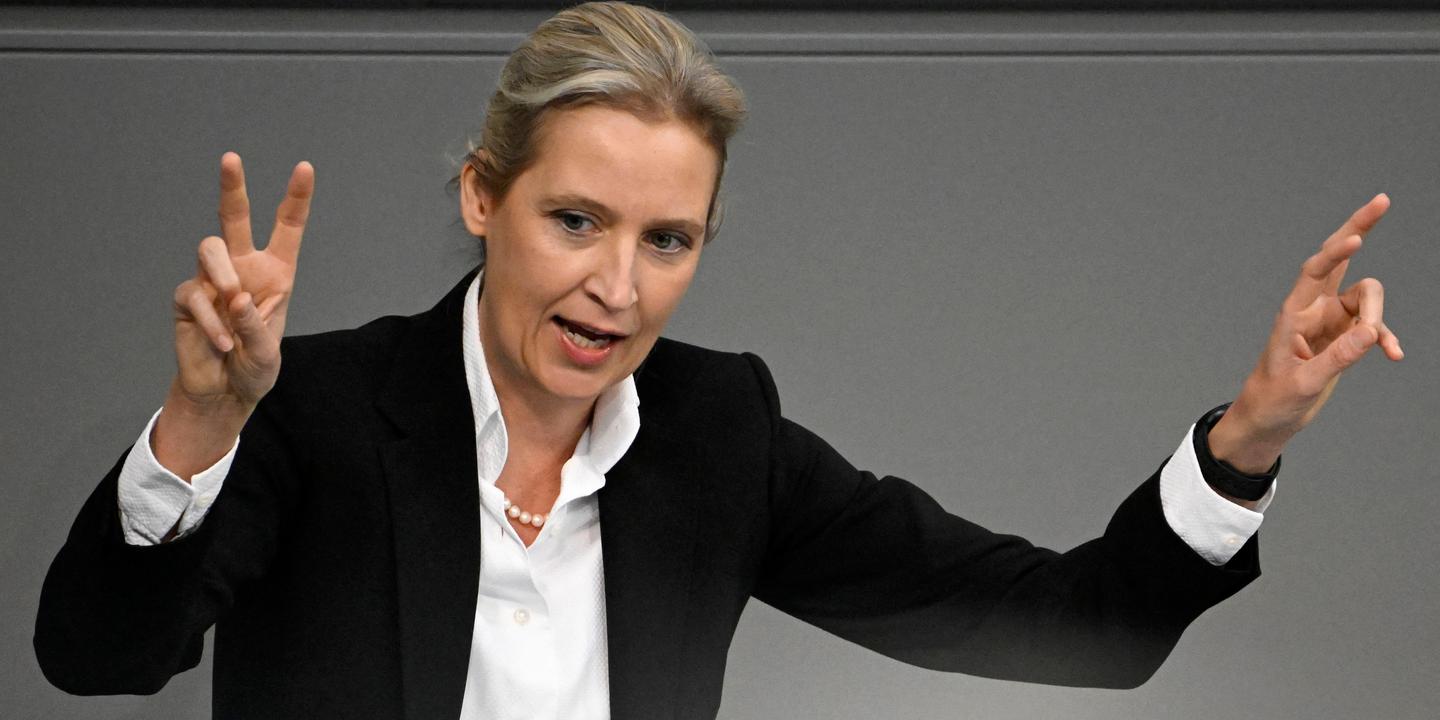 Allemagne l’AfD, le parti d’extrême droite né il y a dix ans, aspire