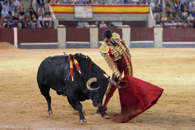 Durante la Feria de Otoño, en la plaza de toros de Las Ventas, en Madrid, el 8 de octubre de 2022.