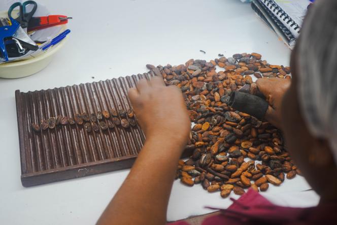 Cocoa beans at the Cémoi factory in Yopougon.