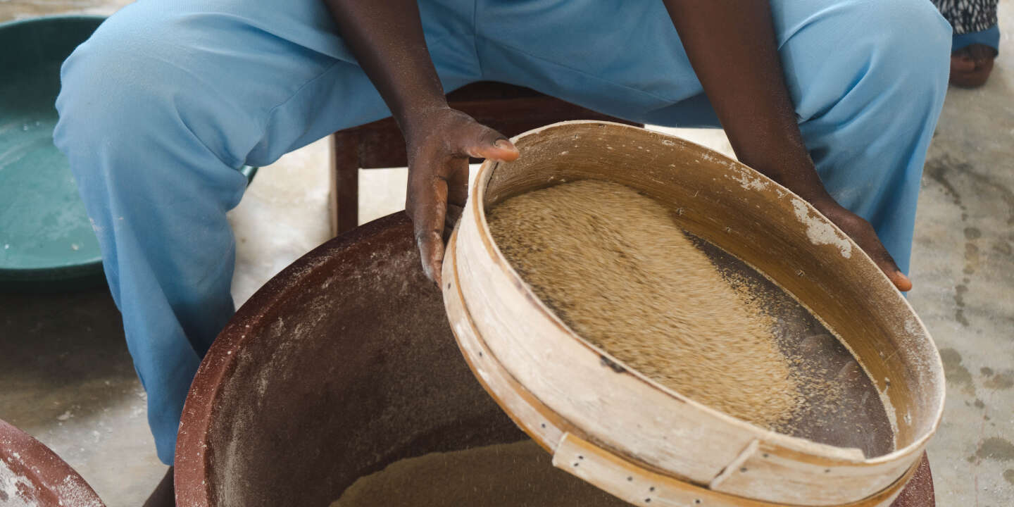 Côte d'Ivoire : les farines locales, un secteur embryonnaire mais prometteur