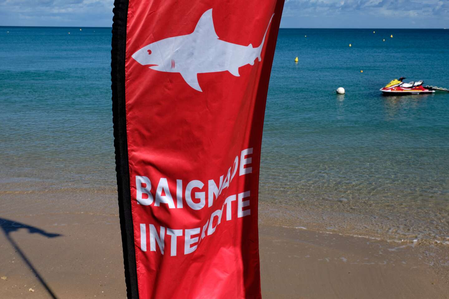 En Nouvelle-Calédonie, une attaque de requin à Nouméa fait un mort