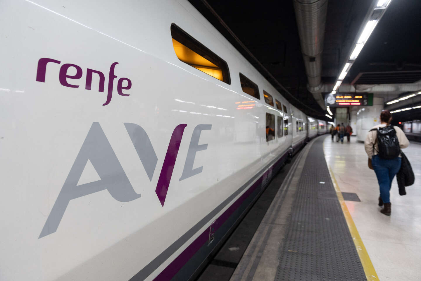 In Spagna lo stato dei treni massicci ha portato alle dimissioni del Segretario di Stato ai Trasporti e del Presidente di Renfe