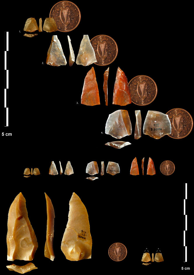 En haut, des nanopointes de la couche E de la grotte Mandrin utilisées comme pointes de flèches et, en bas, une comparaison entre une pointe et une nanopointe (échelle visuelle : 1 centime d’euro).