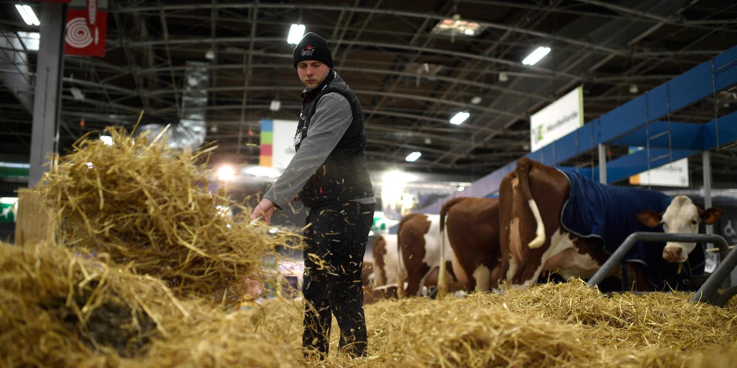 Science De L Agriculture Et De L élevage Codycross Il faut « retrouver un élevage en adéquation avec les capacités de la terre  et de la Terre »