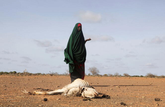 Un pastor posa frente al cadáver de uno de sus animales, que murió debido a la sequía cerca de Dollow, Somalia, el 26 de mayo de 2022.