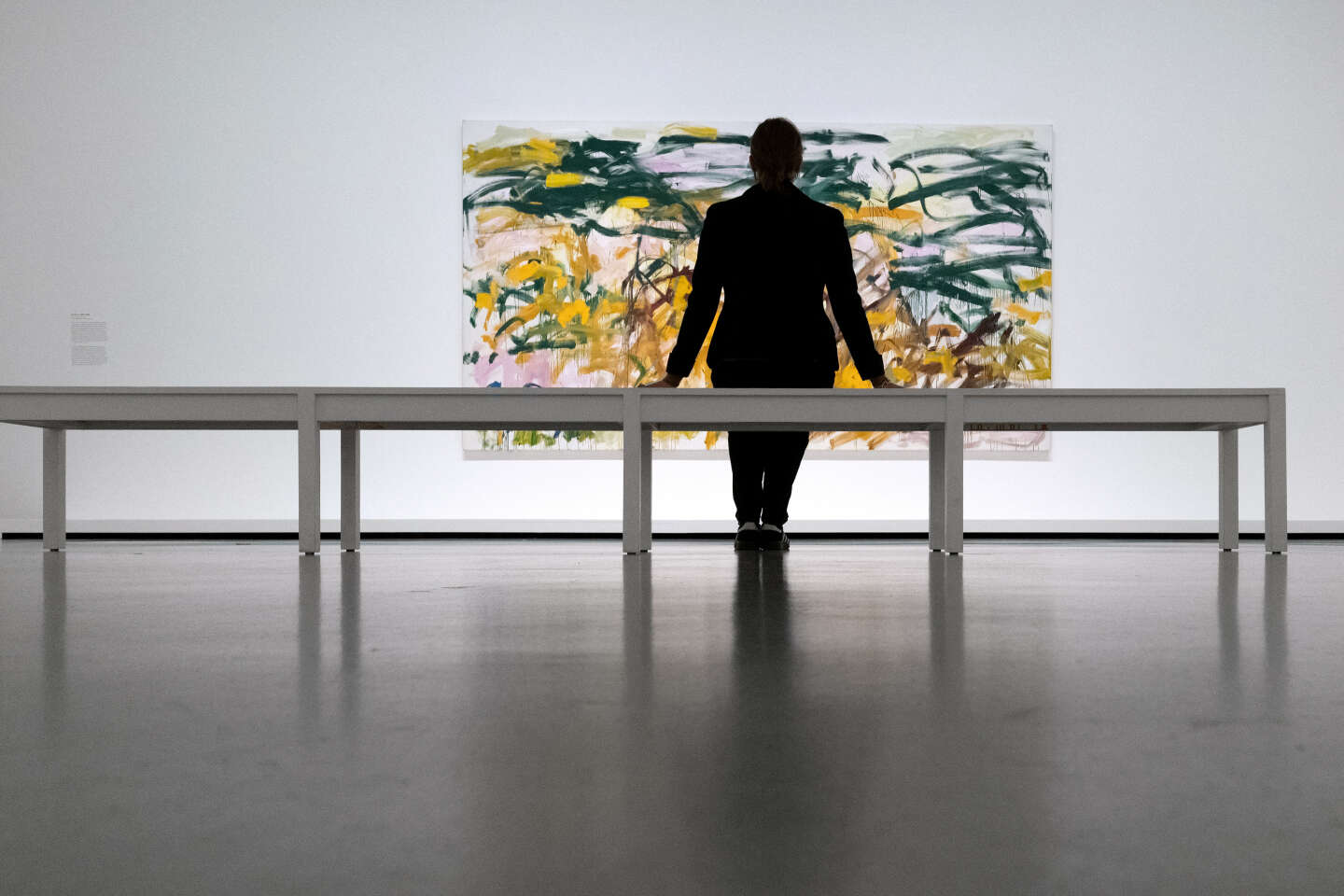 Joan Mitchell Foundation Sues Louis Vuitton Campaign