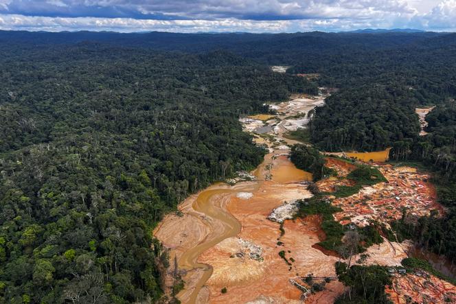 Un camp minier illégal, dans l’Etat de Roraima, au Brésil, le 24 février 2023.