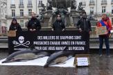 L’Etat dispose de six mois pour mettre fin à l’hécatombe des dauphins en France