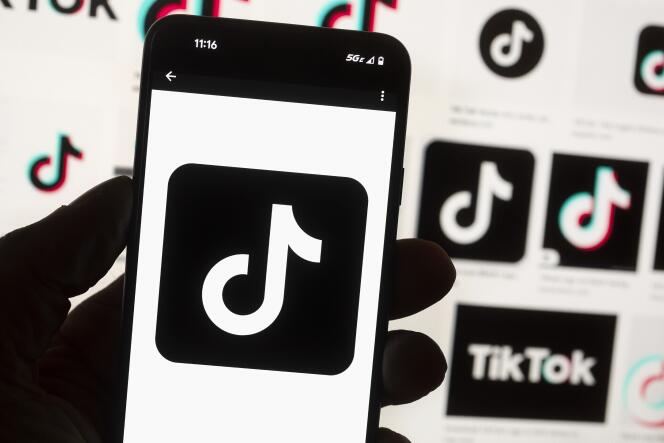App Tiktok vietata dai telefoni cellulari del governo canadese.  14 ottobre 2022. 