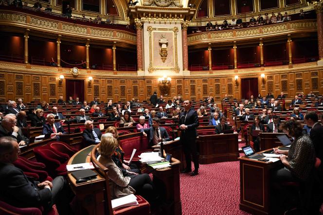 The Minister of Labor, Olivier Dussopt (standing), in the Senate, March 2, 2023, in Paris.