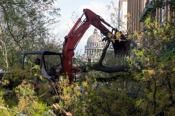 The Mississippi Capitol dome serves as a backdrop as city of Jackson, Miss., employees clear a tree fallen from the property surrounding the governor's mansion on March 3, 2023.