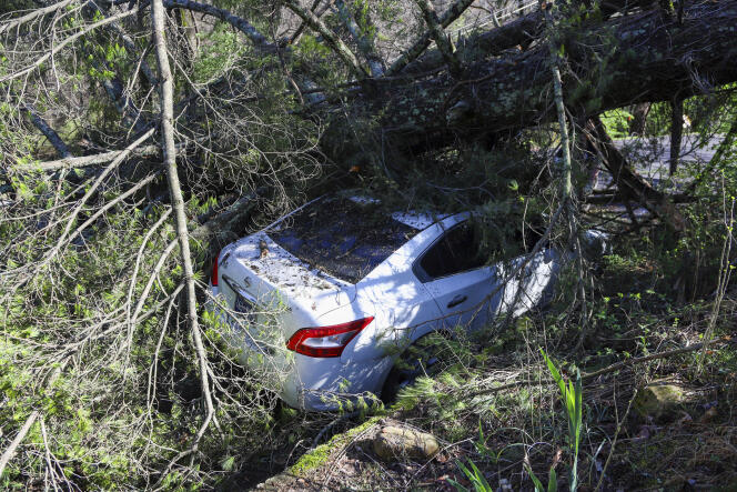 A car parked along Lynda Circle in Red Bank, Tenn.  is seen under a fallen tree following storms on March 3, 2023.