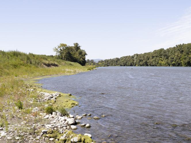 Une berge du Rhône à Baix (Ardèche), le 28 juin 2022.