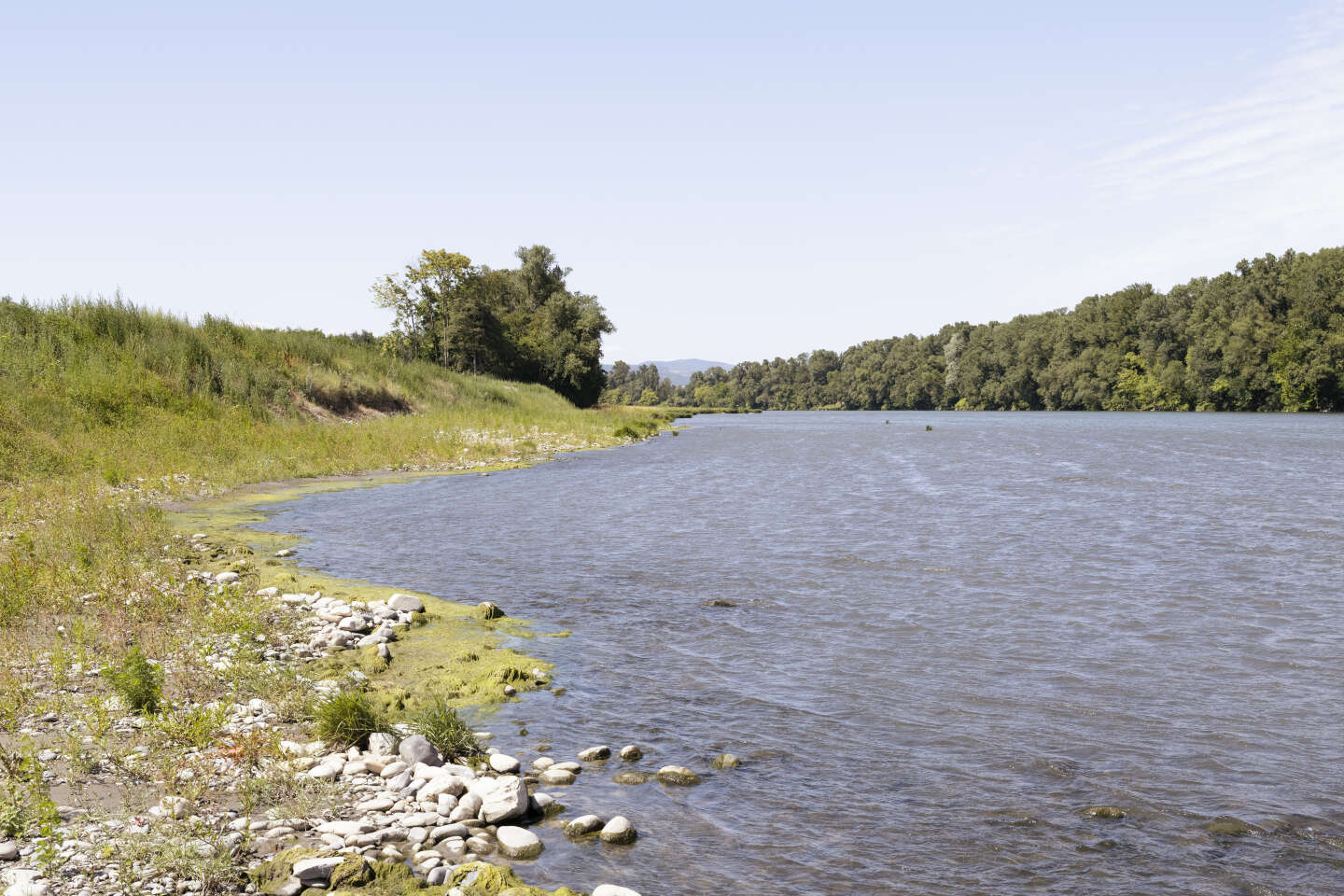Réchauffement climatique : un rapport alerte sur la baisse du débit du Rhône