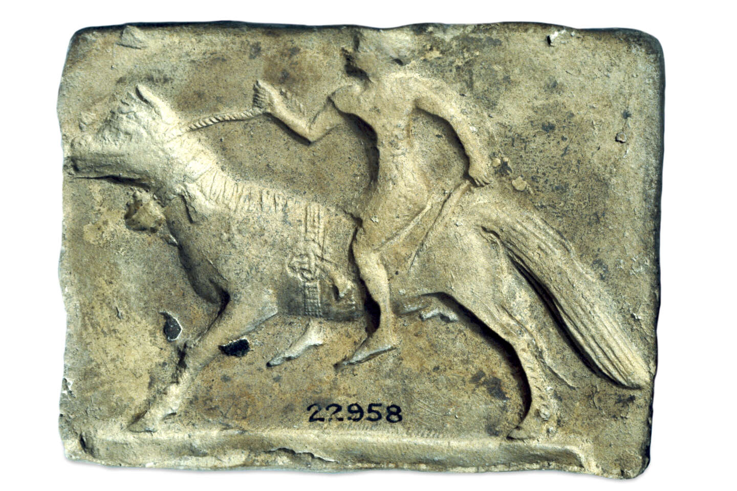 Horseback riding, a five thousand year old practice