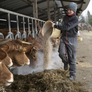 Elsa Auvillain s'occupe de ses vaches limousines sur l'exploitation en bio a Measnes dans la Creuse le 3 mars 2023