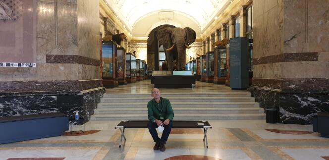 The writer Christophe Boltanski in front of the naturalized elephant King Kasaï, in the AfricaMuseum, in Ternuven (Belgium), in 2020.