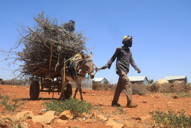 Un déplacé interne à Barwaaqo, en Somalie, le 21 février 2023.