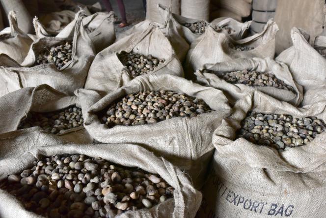 Unshelled cashew nuts, in Abidjan, in May 2016.