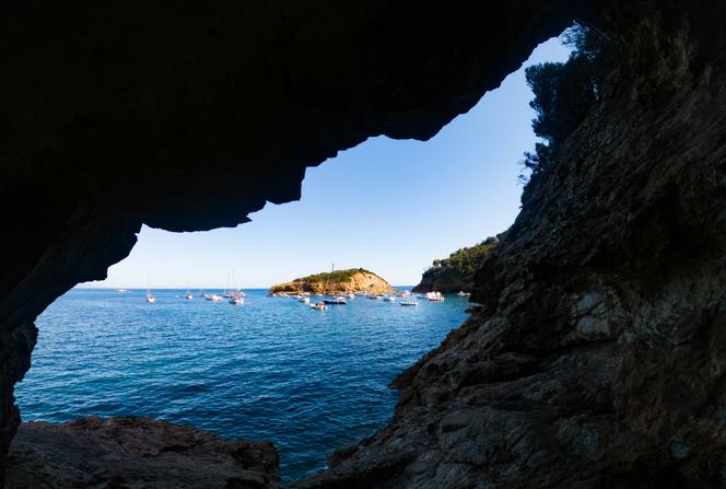 On the island of Elba.
