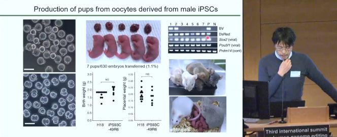 Presentation by Katsuhiko Hayashi (Kyushu University) of the production of mice from two fathers and a surrogate mother.  London, March 8, 2023.