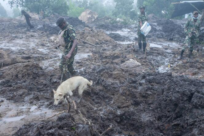 Un adiestrador de perros de la policía de Malawi conduce a un perro rastreador a través de un área afectada por un deslizamiento de tierra en el asentamiento informal de Manje en las laderas de Soche Hill en Blantyre, Malawi, el 17 de marzo de 2023. 