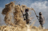 En Ethiopie, la diplomatie du blé d’Abiy Ahmed à la peine