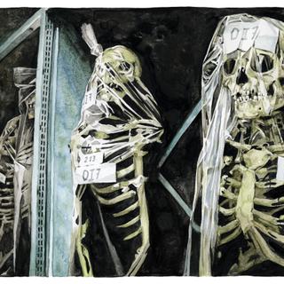 flétrir le squelette dans la vraie vie