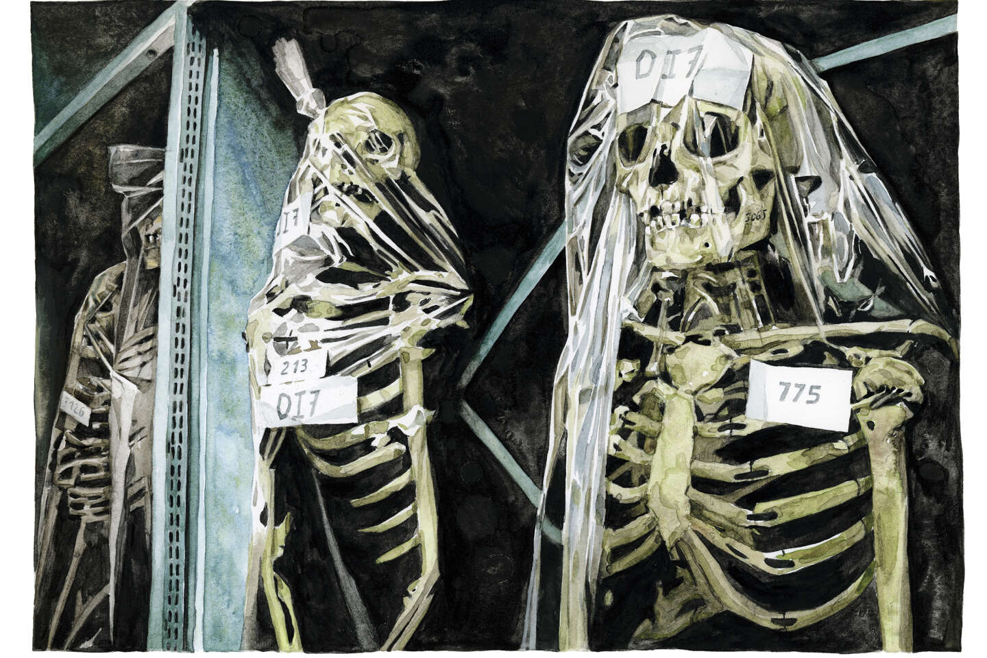 Le « Syrien fanatique » et tous ces vieux squelettes qui hantent les musées français