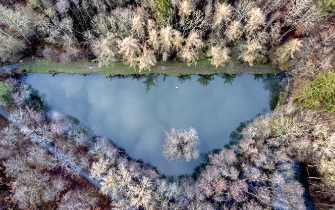 Un lac à Usingen, près de Francfort en Allemagne, le 22 mars 2023.