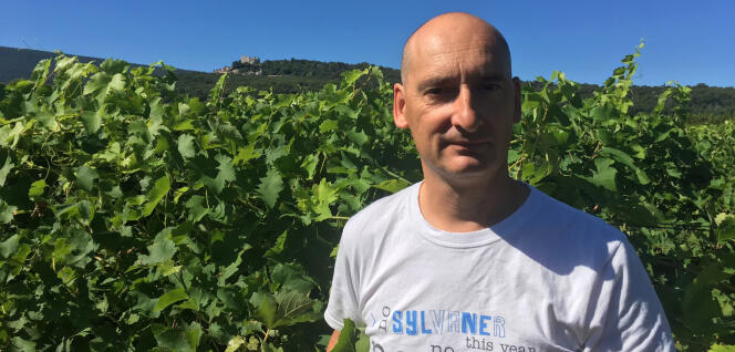 Michel Blanc, directeur de la Fédération des syndicats de producteurs des vins de Châteauneuf-du-Pape.