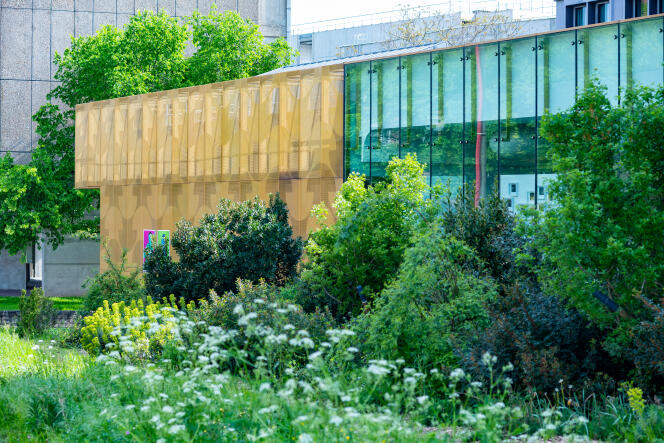 Composition végétale, dans le parc de la Cité internationale universitaire, à Paris. 