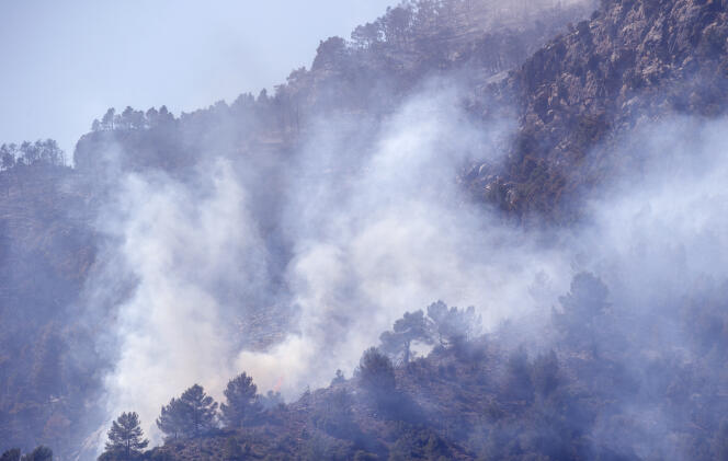 Forest fire in Montañejos, Castellón de la Plana, Spain on Sunday March 26, 2023. 